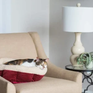 Petmate Aspen Pet Self Warming Round Bed, 19.5 Inches, Barn Red and Cream view 2