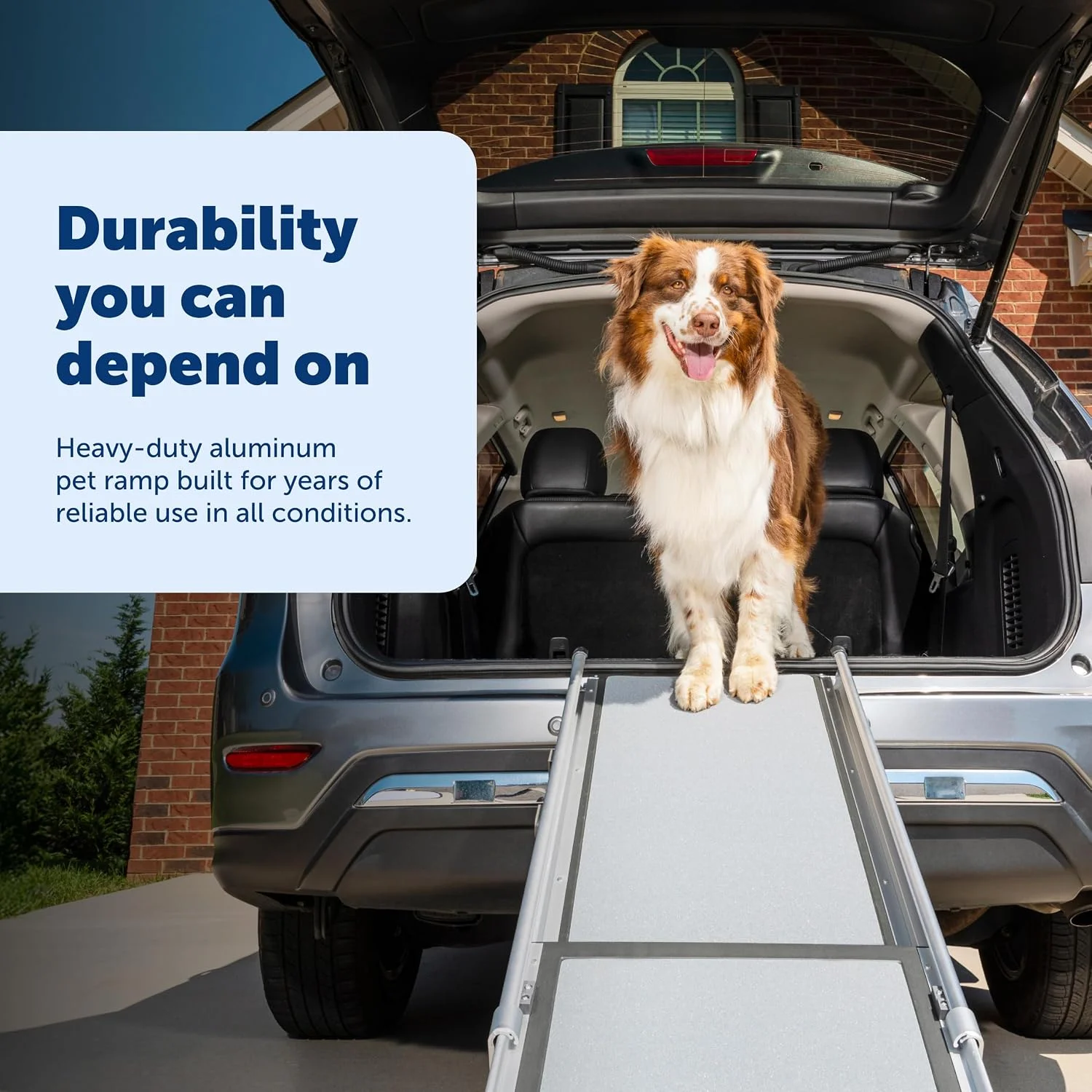 PetSafe Happy Ride Extra Long Telescoping Dog Ramp, Portable Pet Ramp for Cars, Trucks & SUVs with Adjustable Sizing