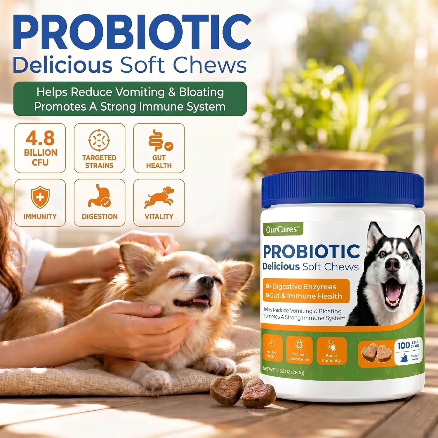 Healthy dog stool consistency