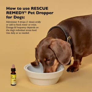 RESCUE Remedy Pet Dropper for Dogs - 20 mL - Stress & Tension Support for Dogs with Bach Natural Flower Essences - Sedative-Free, Homeopathic Liquid Formula - for All Breeds, Ages & Weights view 3
