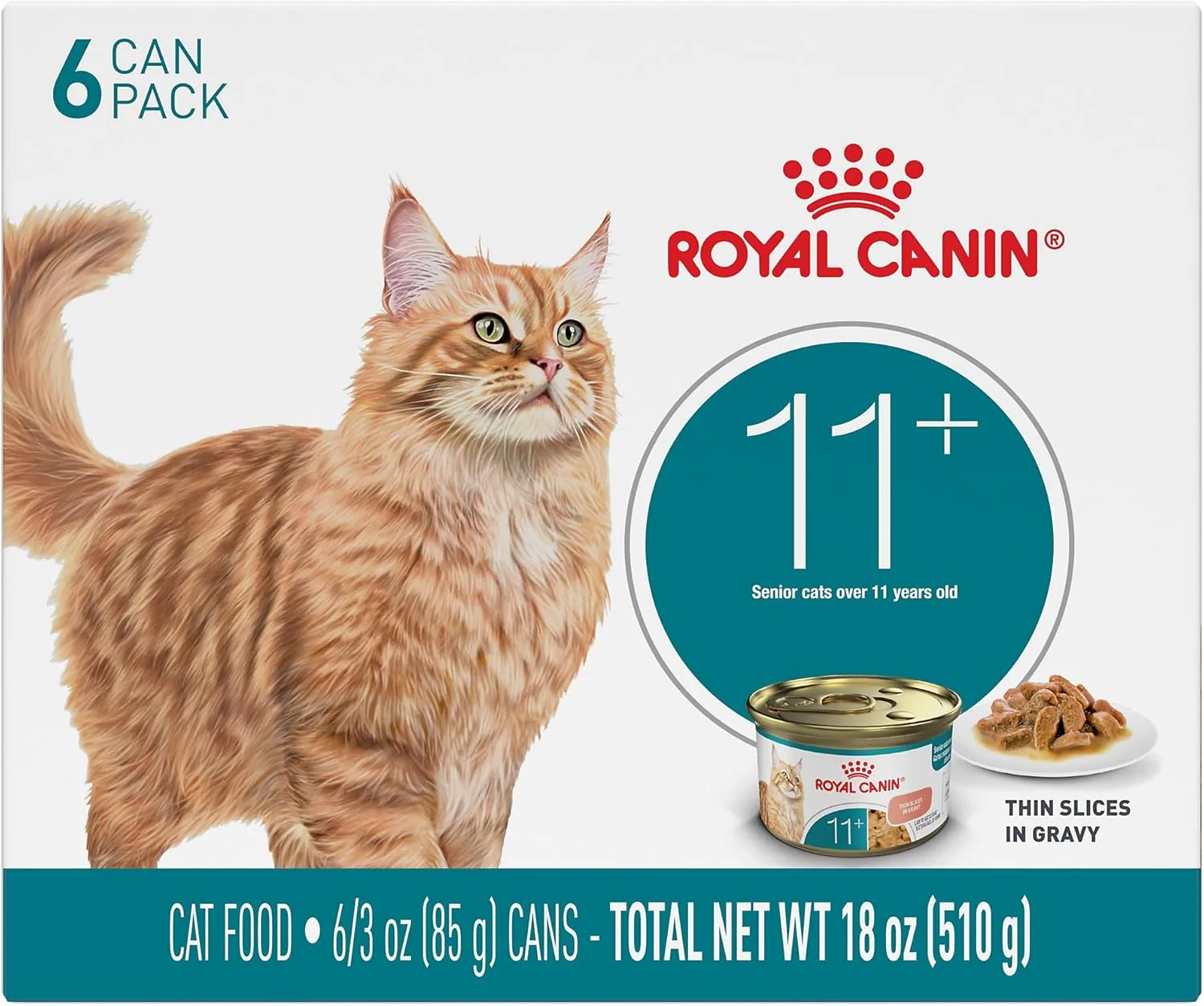 Senior cat enjoying a nutritious bowl of Royal Canin Aging 11+ wet food