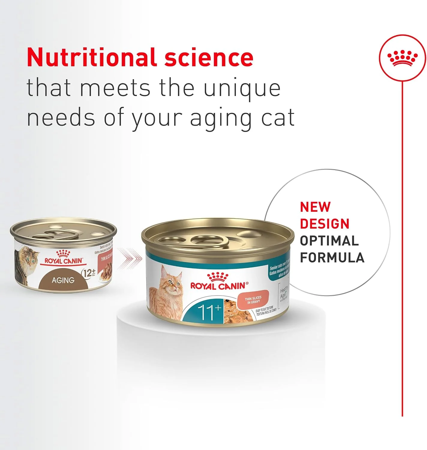 Close up of Royal Canin wet cat food texture