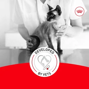 Royal Canin Feline Health Nutrition Aging 11+ Wet Cat Food for Seniors, Thin Slices in Gravy for Cats Over 11 Years, Supports Optimal Health & Vitality, 3 oz can, Case of 6 view 5
