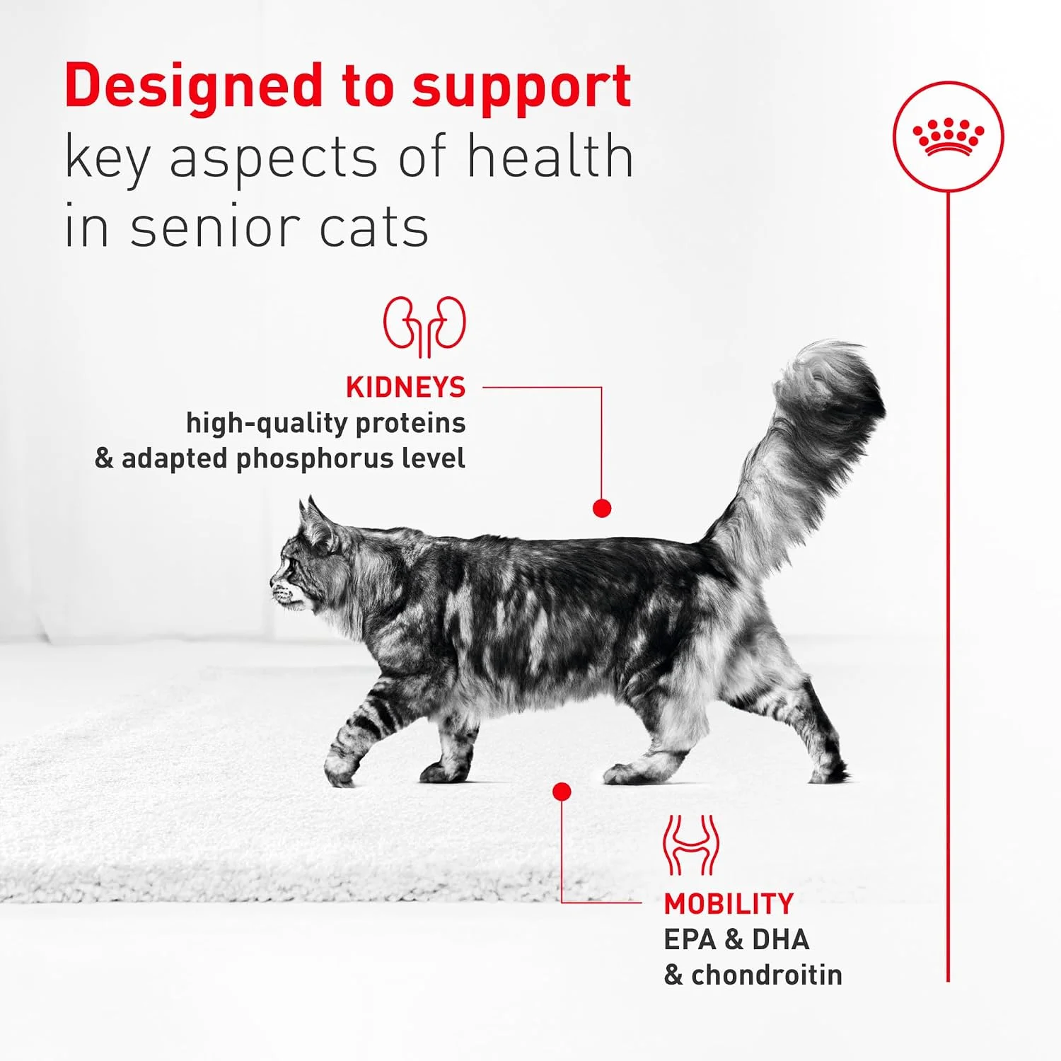 The Royal Canin Aging 11+ case of 6 cans