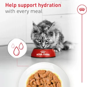 Royal Canin Feline Health Nutrition Aging 11+ Wet Cat Food for Seniors, Thin Slices in Gravy for Cats Over 11 Years, Supports Optimal Health & Vitality, 3 oz can, Case of 6 view 7