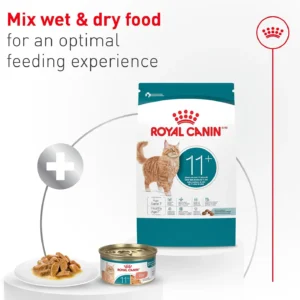 Royal Canin Feline Health Nutrition Aging 11+ Wet Cat Food for Seniors, Thin Slices in Gravy for Cats Over 11 Years, Supports Optimal Health & Vitality, 3 oz can, Case of 6