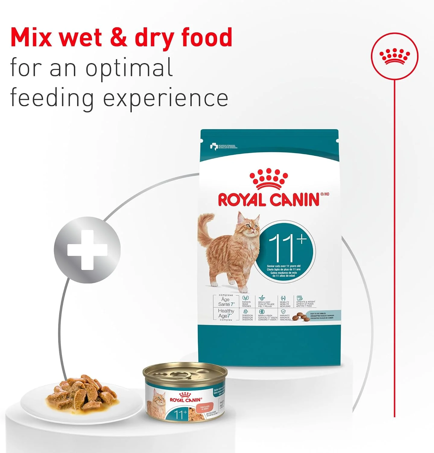 Royal Canin Feline Health Nutrition Aging 11+ Wet Cat Food for Seniors, Thin Slices in Gravy for Cats Over 11 Years, Supports Optimal Health & Vitality, 3 oz can, Case of 6