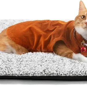 Self Warming Cat Bed Self Heating Cat Dog Mat 29.1 x 18.9 inch Extra Warm Thermal Pet Pad for Indoor Outdoor Pets with Removable Cover Non-Slip Bottom Washable view 1