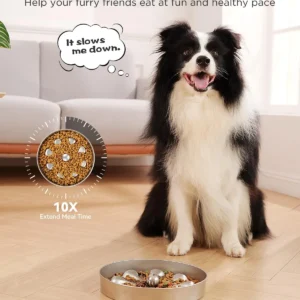 Slow Feeder Dog Bowls – Stainless Steel Non-Slip Metal Bowl for Slow Feeding, 5 Cups Large Capacity, Double-Sided Design for Dry, Wet, or Raw Food, Ideal for Small, Medium, Large Dogs view 2