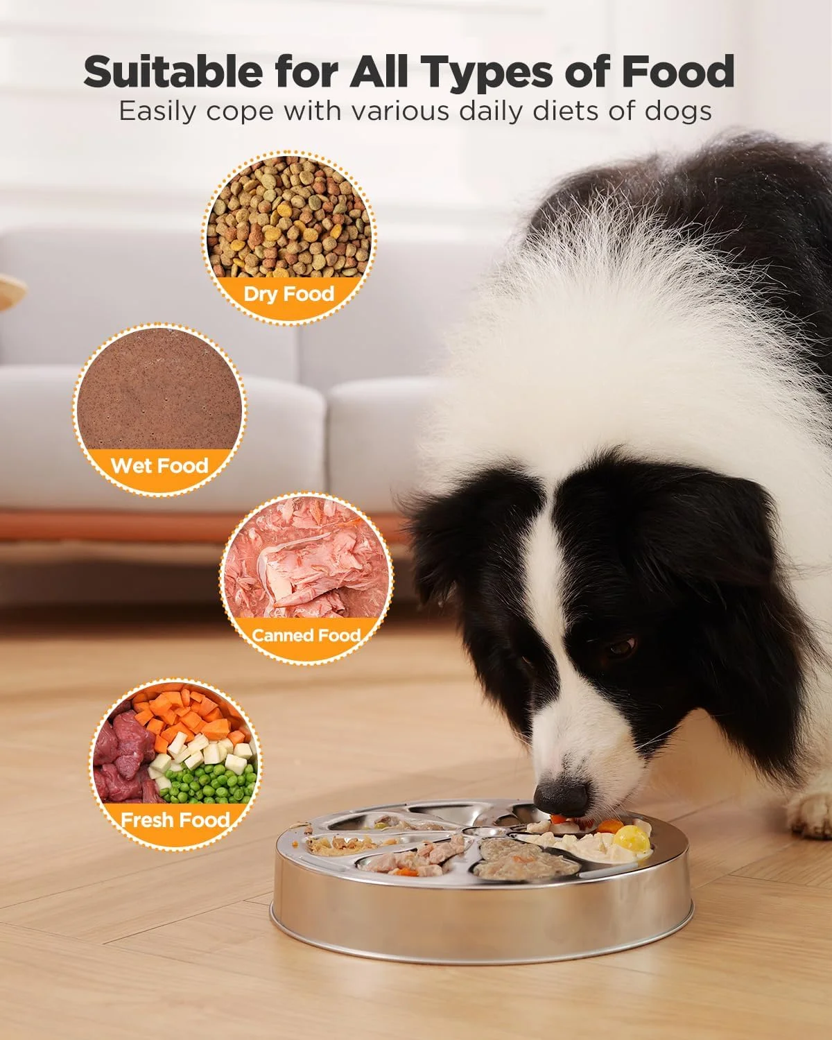 Non-slip base of the dog bowl