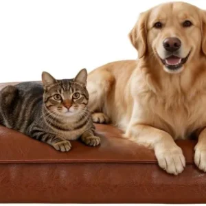 SOMAHE Waterproof Leather Orthopedic Dog Bed, Brown, Large 35.4x27.6x4in | Wipe-Clean Surface: pet hair, drool, wet paws, and spills wipe away fast; 4-inch support for medium-large dogs. view 1