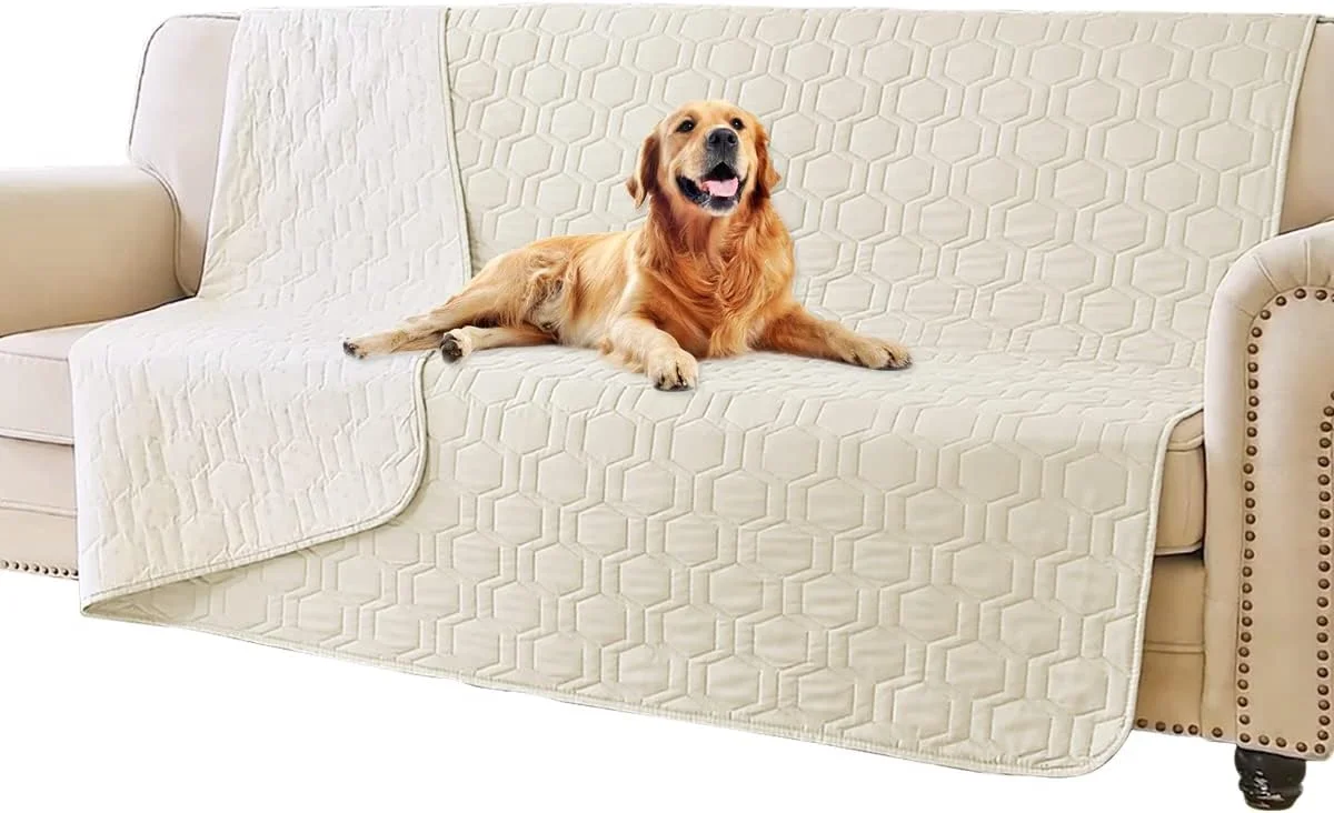 Senior dog resting comfortably on an ivory pet furniture cover
