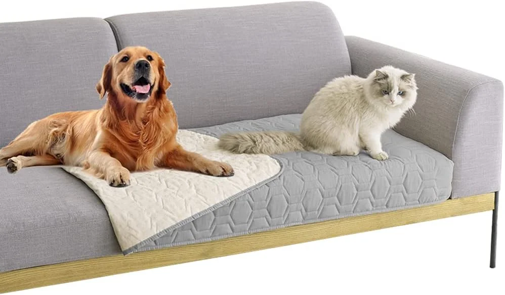 Happy dog relaxing on a clean soft blanket