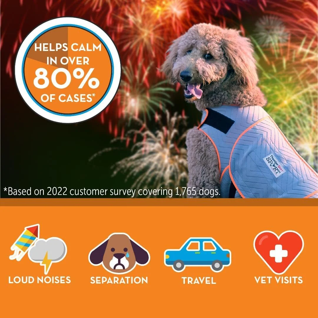 Easy application of the ThunderShirt