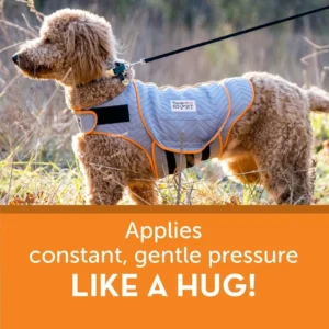 ThunderShirt for Dogs Calming Anxiety Vest, Large, Platinum Sport | Skin-Friendly Dog Anxiety Shirt, Helps Reduce Stress from Thunder, Fireworks & Travel view 5
