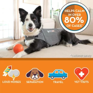 ThunderShirt for Dogs, Medium, Heather Gray Classic - Dog Anxiety Relief Calming Vest view 4