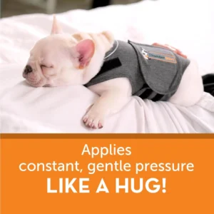 ThunderShirt for Dogs, Medium, Heather Gray Classic - Dog Anxiety Relief Calming Vest view 6
