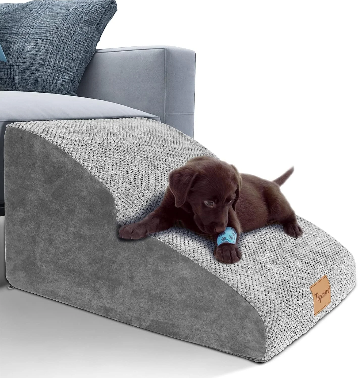 Senior dog using foam stairs to reach a couch