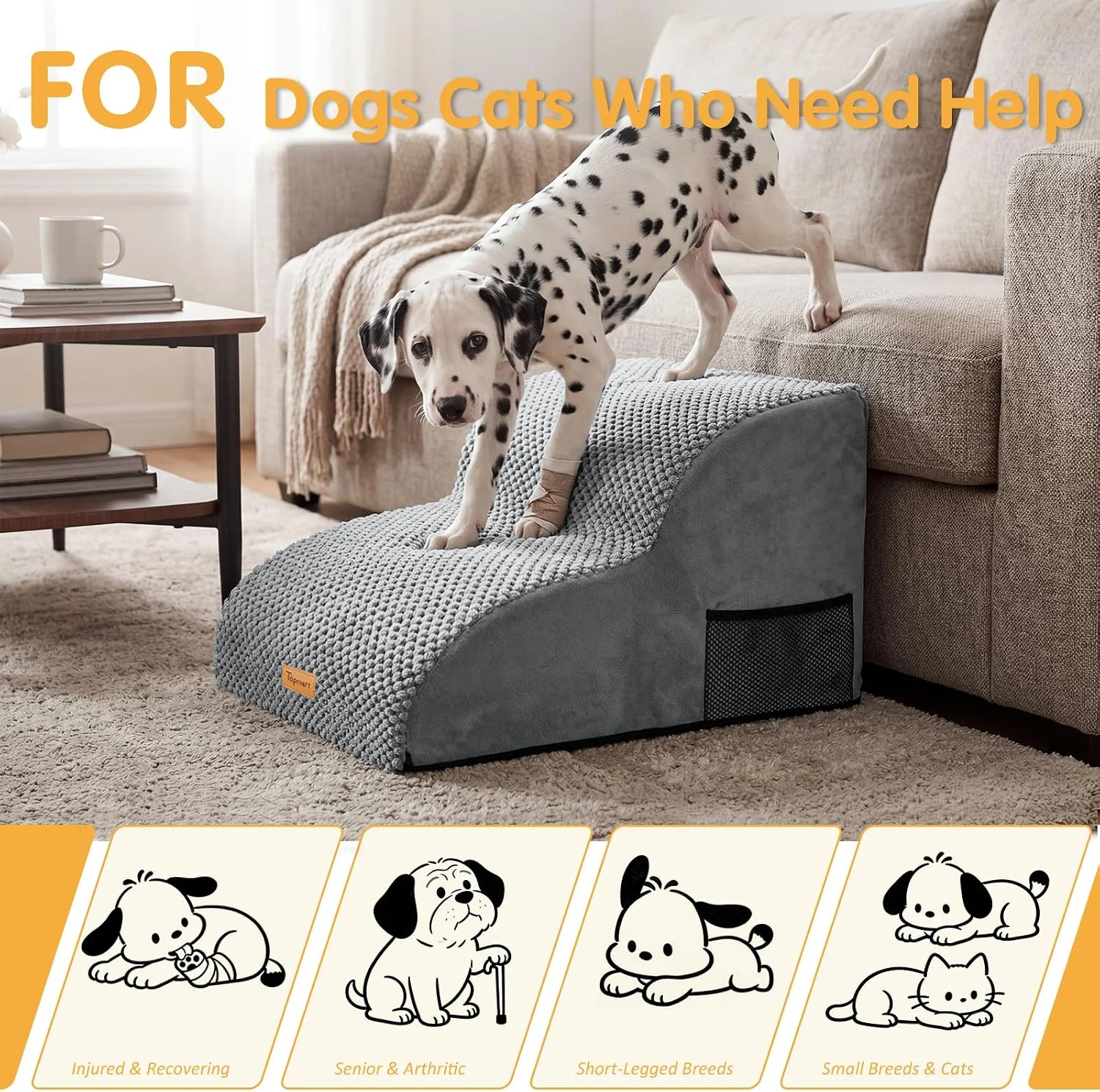 Pet sitting on couch after using stairs