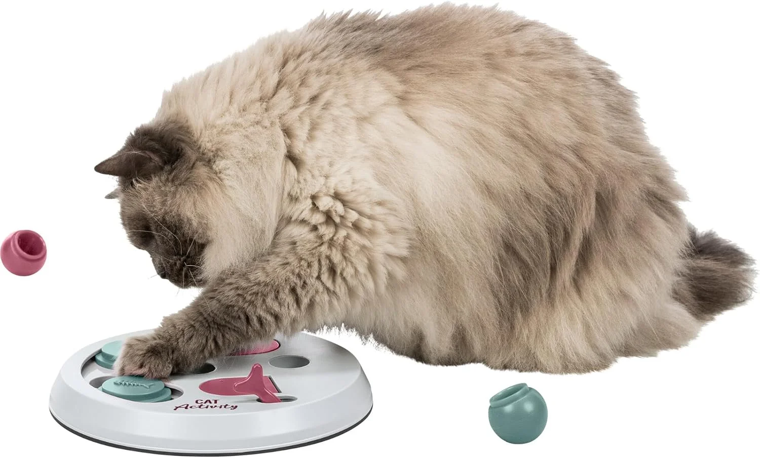 Happy cat with Trixie Activity Board