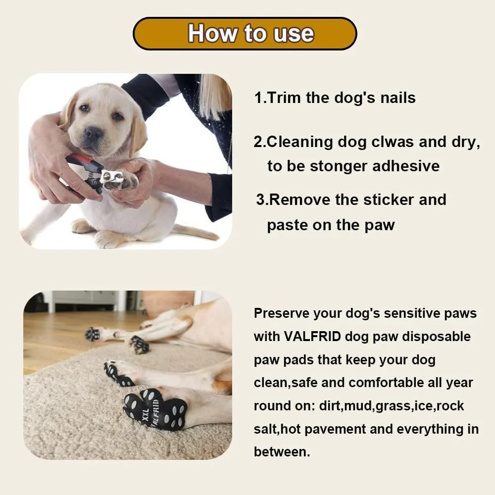 Close up of dog paws with VALFRID anti-slip adhesive pads