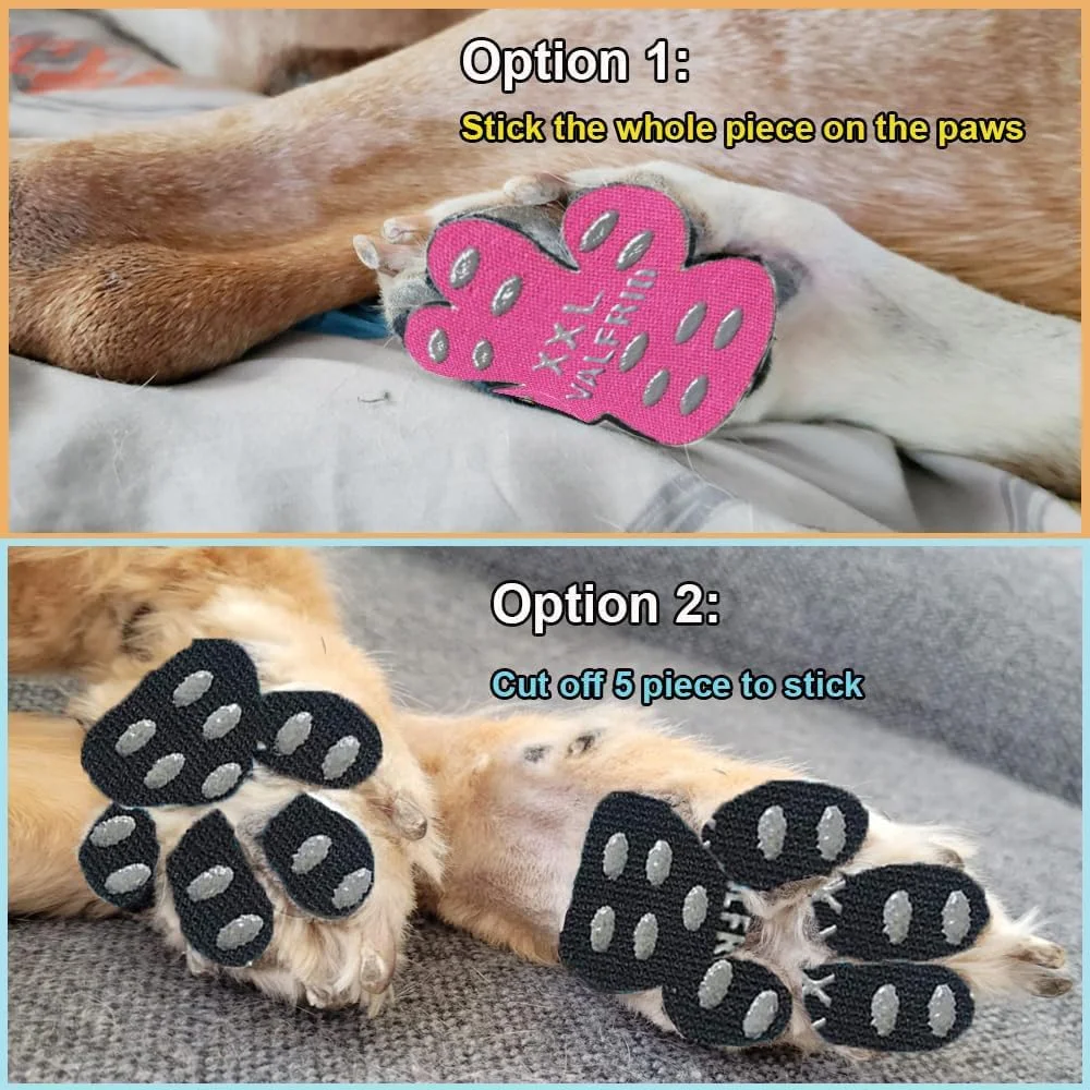 Dog paw protector pads on hot pavement