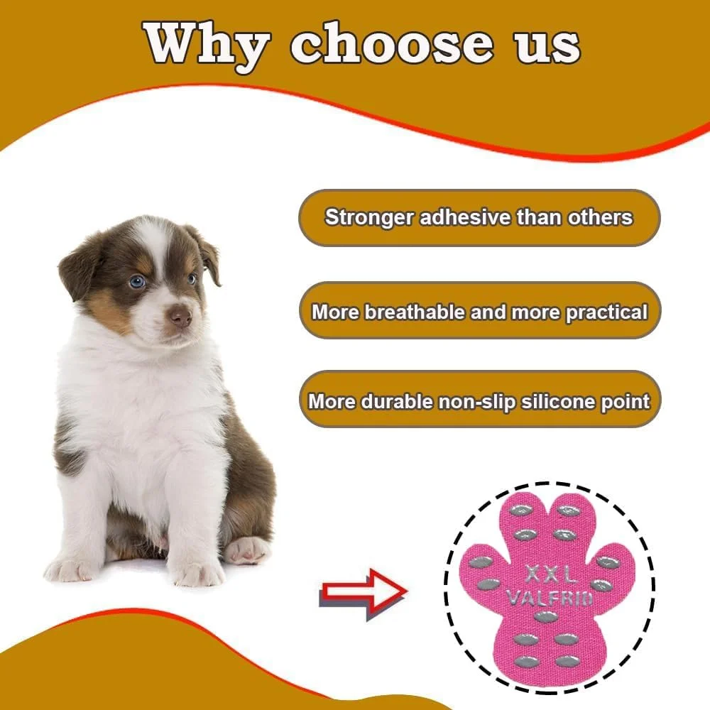 Comfortable dog wearing traction pads