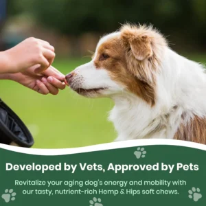 Veterinary Naturals Hemp & Hips Joint Supplement for Dogs/Supports Relief from Hip and Joint Pain in Large, Aging Dogs (Senior Large Breed, Chicken) view 2