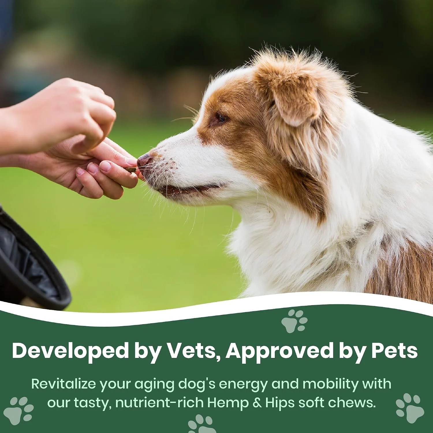 Dog enjoying a tasty soft chew treat