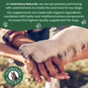 Veterinary Naturals Hemp & Hips Joint Supplement for Dogs/Supports Relief from Hip and Joint Pain in Large, Aging Dogs (Senior Large Breed, Chicken) view 7