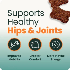VetriScience Extra Strength Hip & Joint Supplement for Dogs – Supports Joint Health & Mobility, Vet-formulated w/Glucosamine, MSM & Green-Lipped Mussel – Chicken Flavor, 120 Chews view 3