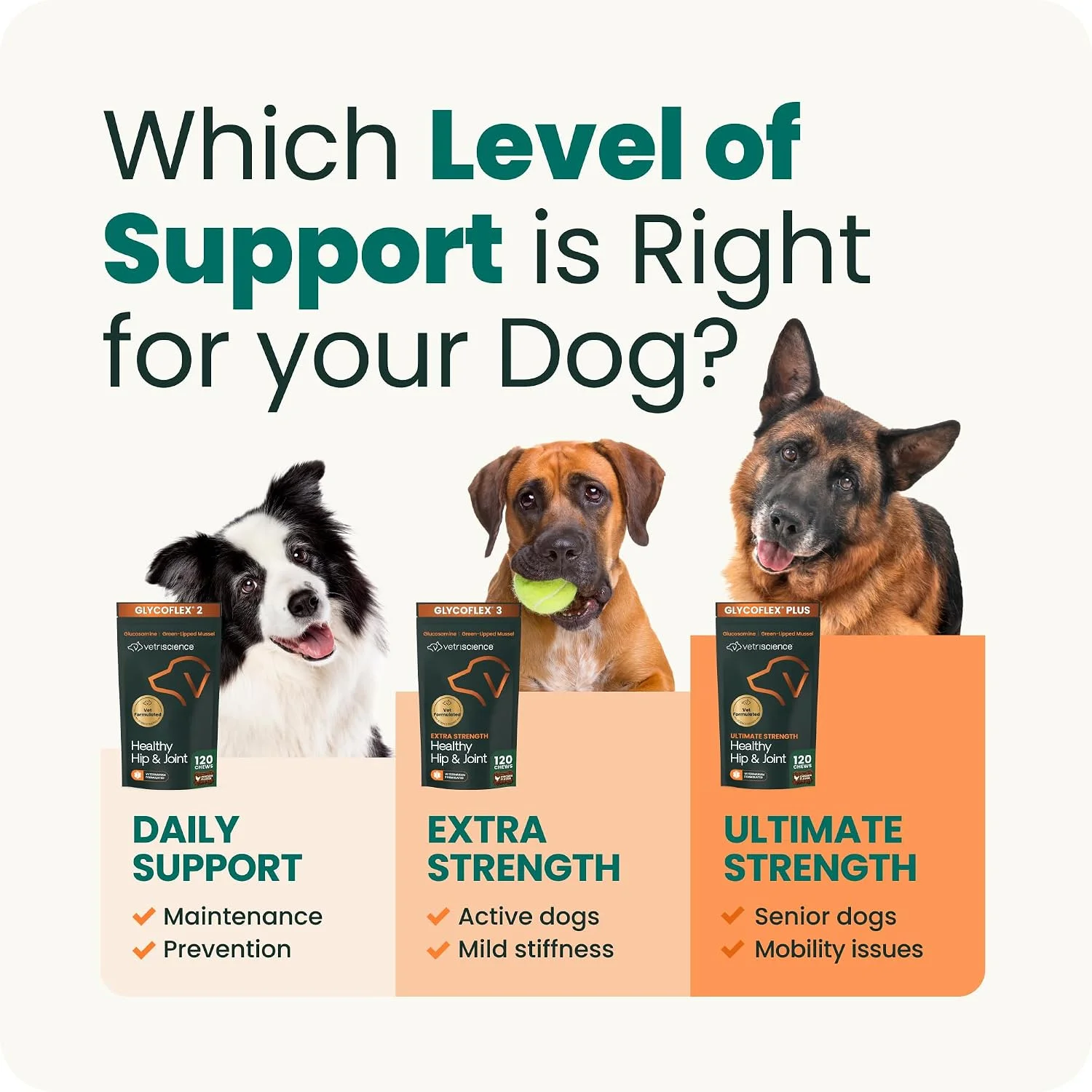 VetriScience Extra Strength Hip & Joint Supplement for Dogs – Supports Joint Health & Mobility, Vet-formulated w/Glucosamine, MSM & Green-Lipped Mussel – Chicken Flavor, 120 Chews