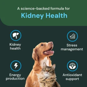 Vetriscience Veterinary Strength Kidney Health Chews - Balanced Kidney Support for Pets - Feline & Canine Renal Support - Holistic Formula - Chicken Liver Flavor - 60 Count view 4