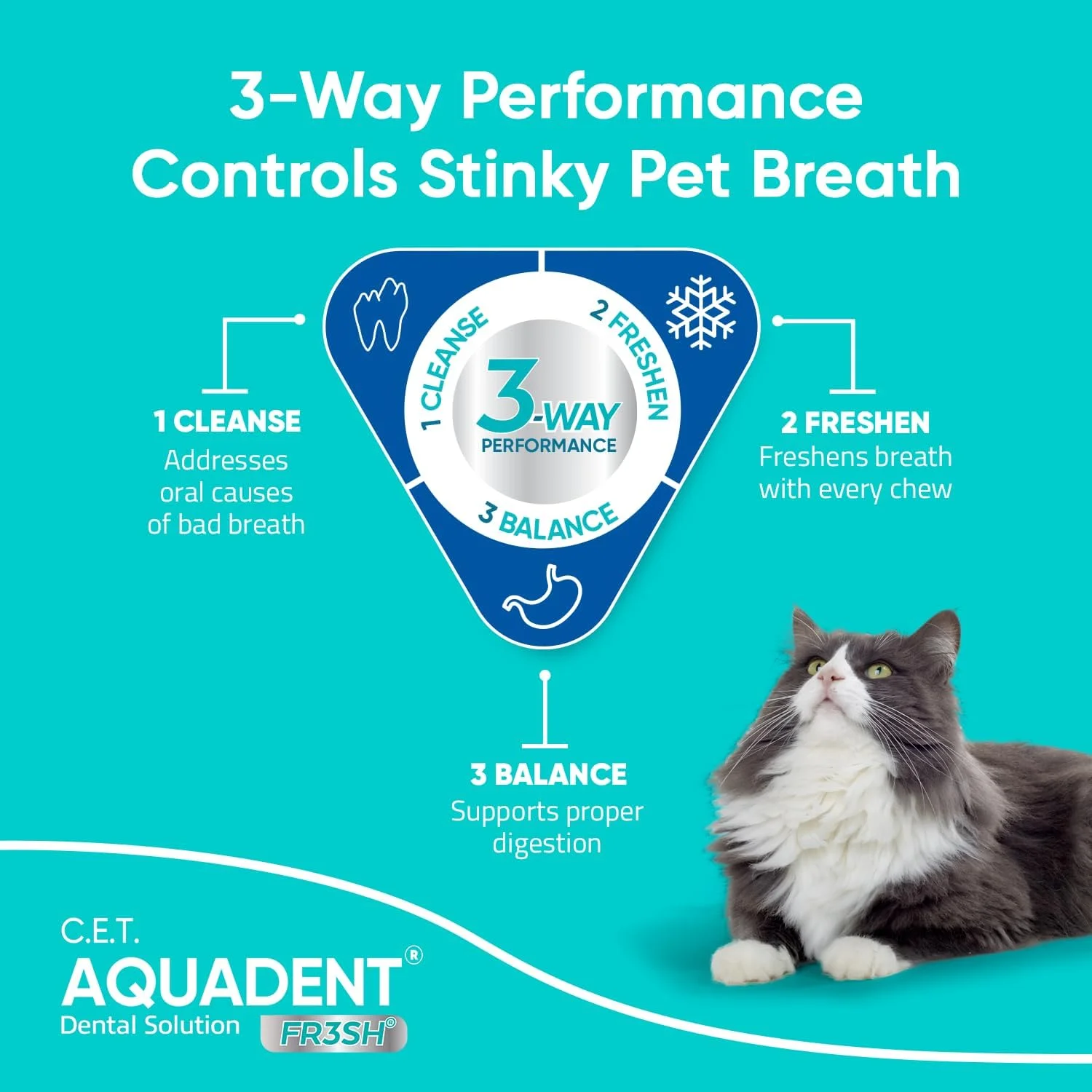 Adding dental solution to water bowl