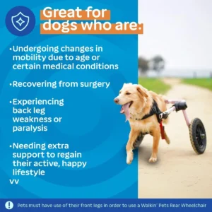 Walkin' Wheels Dog Wheelchair - for Med/Large Dogs 50-69 lbs - Veterinarian Approved - Dog Wheelchair for Back Legs view 4