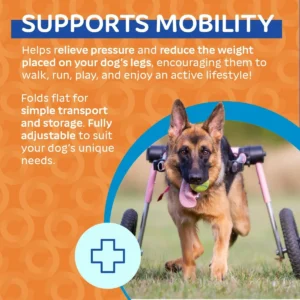 Walkin' Wheels Dog Wheelchair - for Med/Large Dogs 50-69 lbs - Veterinarian Approved - Dog Wheelchair for Back Legs view 5