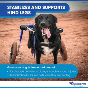 Walkin' Wheels Dog Wheelchair - for Med/Large Dogs 50-69 lbs - Veterinarian Approved - Dog Wheelchair for Back Legs view 7