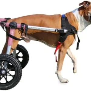 Walkin' Wheels Dog Wheelchair - for Med/Large Dogs 50-69 lbs - Veterinarian Approved - Dog Wheelchair for Back Legs