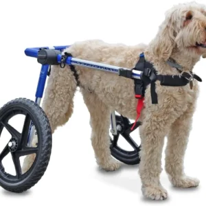 Walkin' Wheels Dog Wheelchair - for Med/Large Dogs 50-69 lbs - Veterinarian Approved - Dog Wheelchair for Back Legs