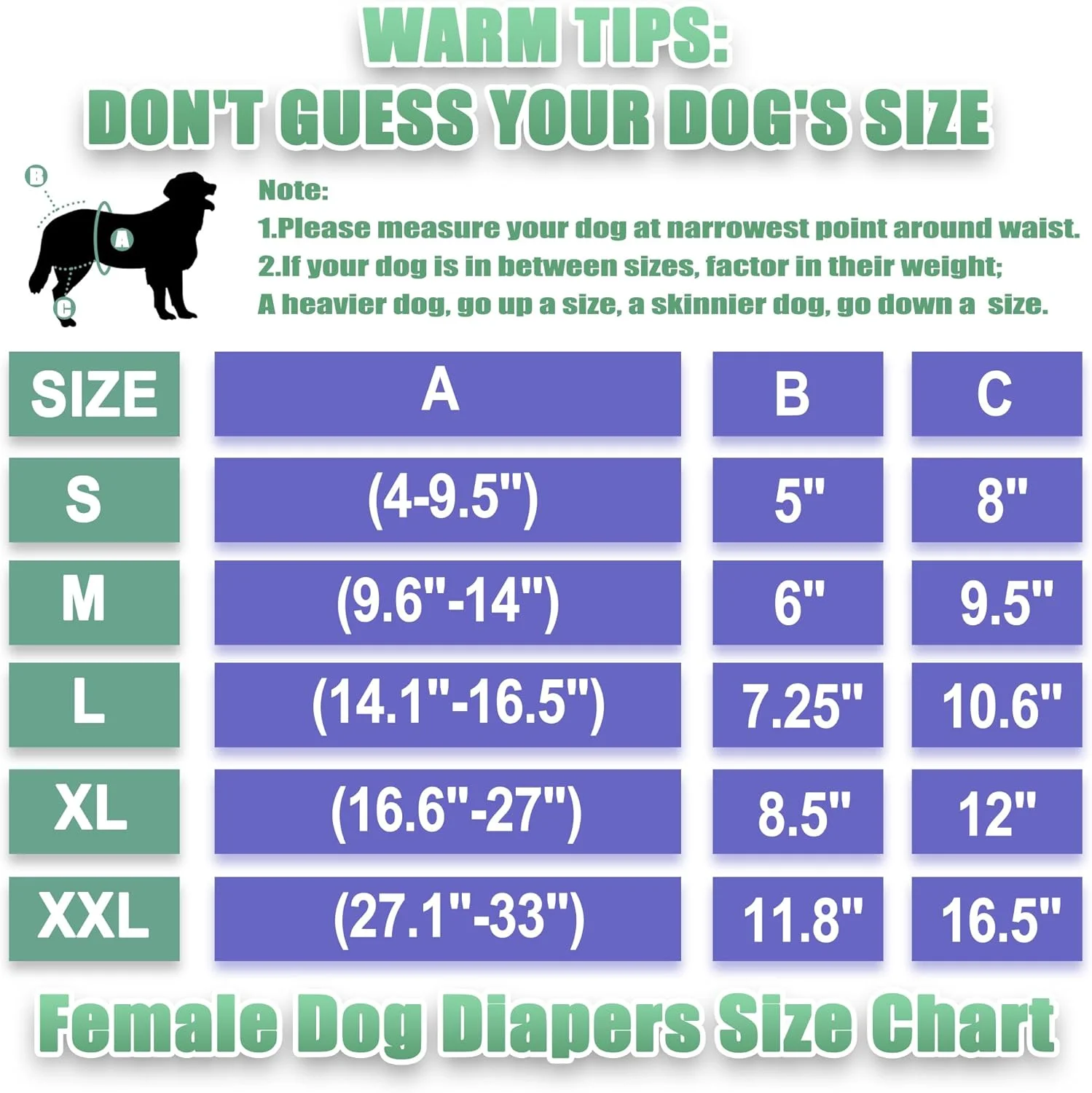 Dog wearing comfortable Wegreeco diaper