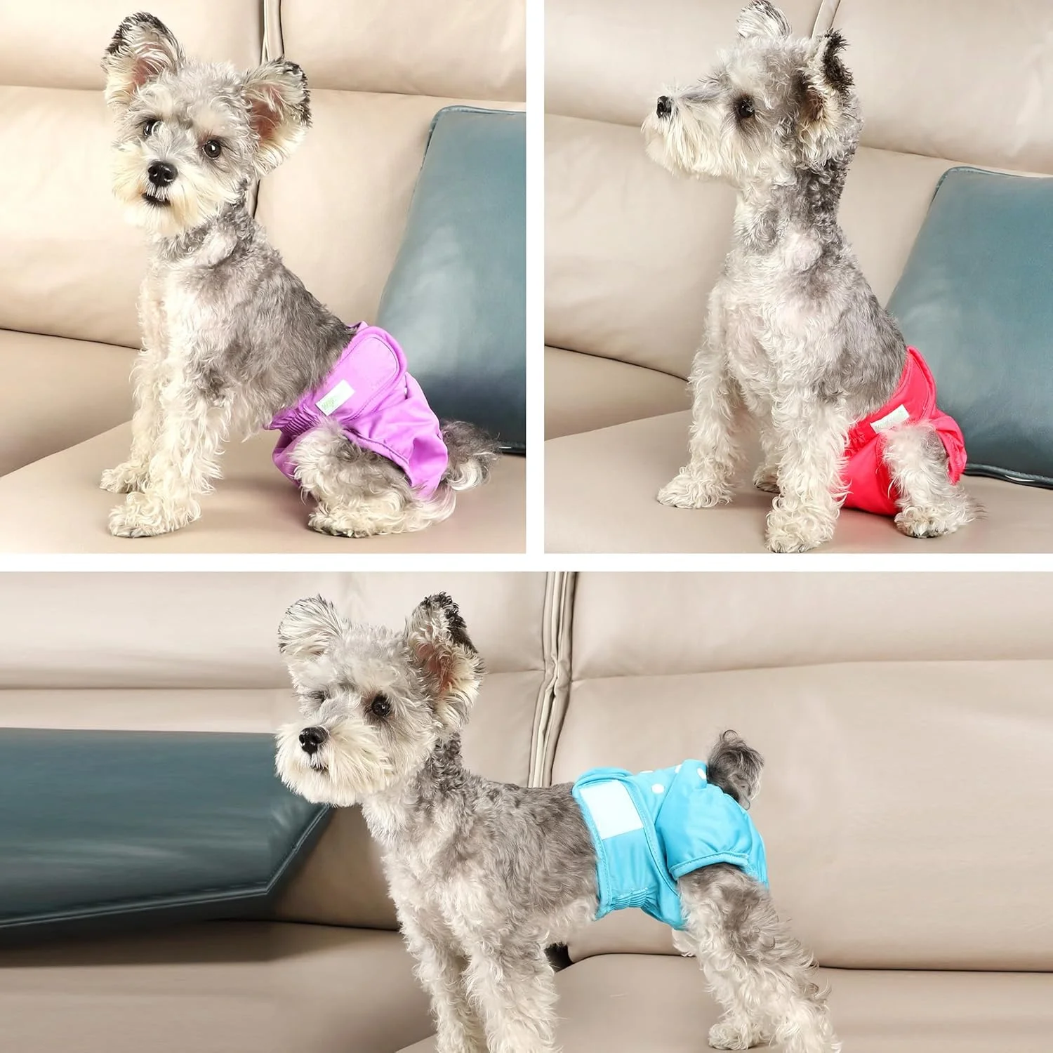 How to measure dog for diapers
