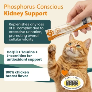 Wellness Kidney Support Purée for Cats - Renal Cat Health Supplement with Taurine, L-Carnitine, CoQ10, B-Complex, Yucca - Phosphorus-Conscious with Savory Chicken Breast Flavor - 10 Tubes view 3