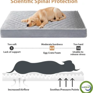 WNPETHOME Orthopedic Waterproof Extra Large Dogs Bed with Removable Washable Cover, Multi-Needle Quilting XL Crate Bed for Large Sized Dog, Light Grey view 3