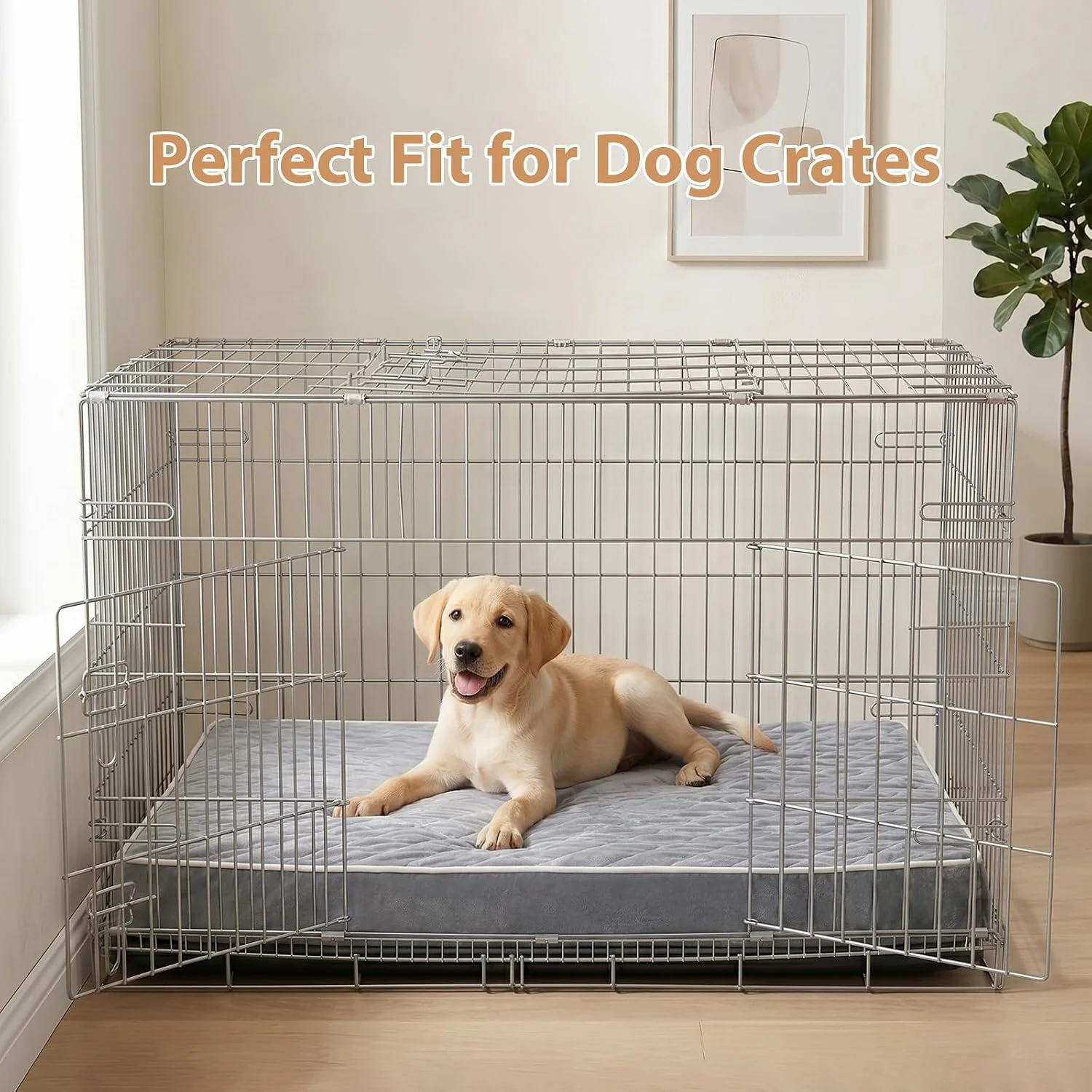 Senior dog sleeping peacefully on WNPETHOME bed