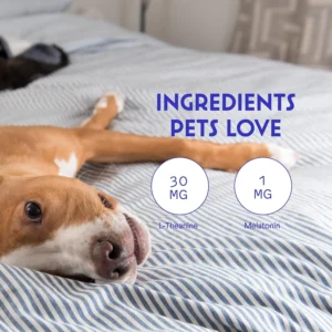 Wonder Paws Melatonin for Dogs – with L-Theanine (Suntheanine®) – Occasional Anxiety Relief for Dogs, Stress, Calming, Relaxation & Sleep Support – Liquid Dog Melatonin 2oz (60ml) view 5