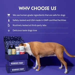 Wonder Paws Melatonin for Dogs – with L-Theanine (Suntheanine®) – Occasional Anxiety Relief for Dogs, Stress, Calming, Relaxation & Sleep Support – Liquid Dog Melatonin 2oz (60ml) view 6
