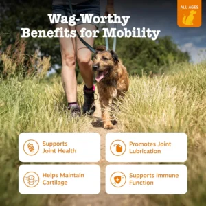 Zesty Paws Mobility Bites Joint Supplement for Dogs - Soft Chews with Glucosamine for Dogs, Chondroitin, & MSM + Vitamins C and E - Hemp - Chicken - 90ct view 2
