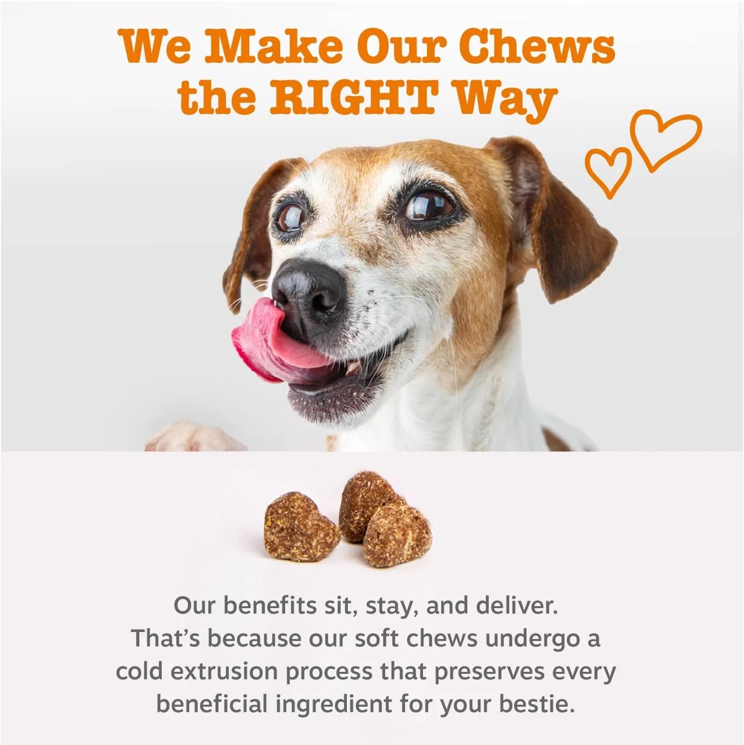 Happy dog eating a Zesty Paws chew